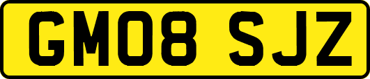 GM08SJZ