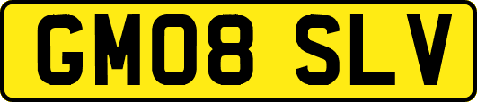 GM08SLV