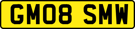 GM08SMW