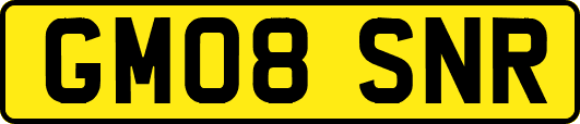 GM08SNR