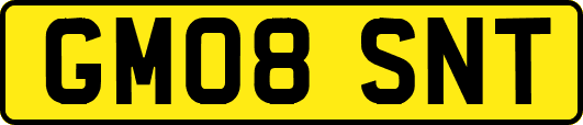 GM08SNT