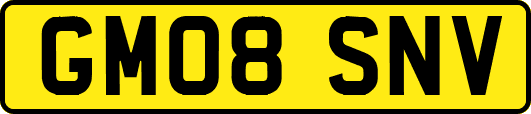 GM08SNV