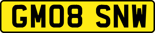 GM08SNW
