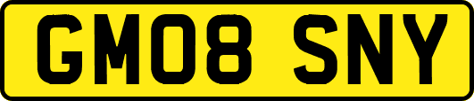 GM08SNY
