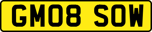 GM08SOW