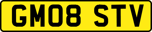 GM08STV