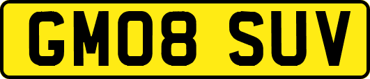 GM08SUV