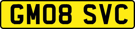 GM08SVC