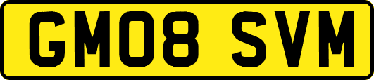 GM08SVM