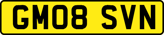 GM08SVN