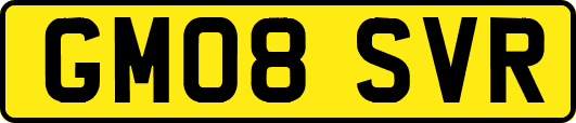 GM08SVR