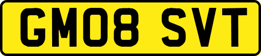 GM08SVT