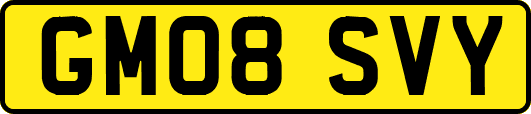 GM08SVY