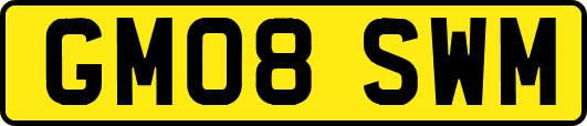 GM08SWM
