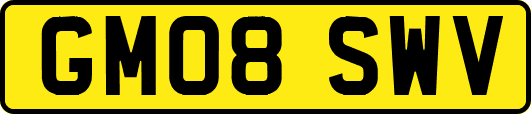GM08SWV
