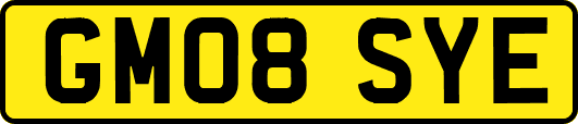 GM08SYE