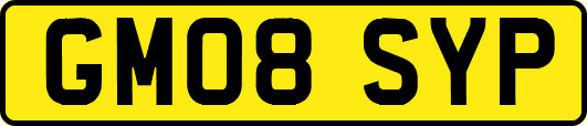 GM08SYP