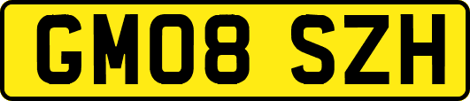 GM08SZH