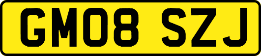 GM08SZJ