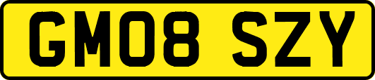 GM08SZY