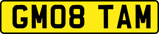 GM08TAM