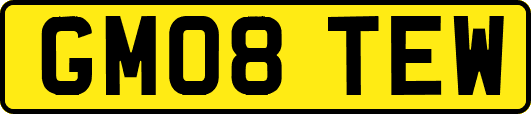 GM08TEW