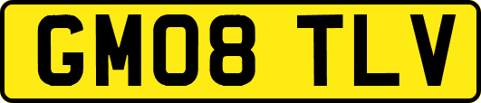 GM08TLV