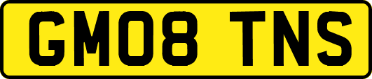 GM08TNS