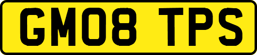 GM08TPS