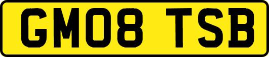 GM08TSB
