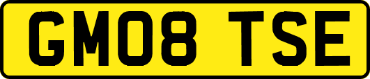 GM08TSE