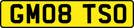 GM08TSO