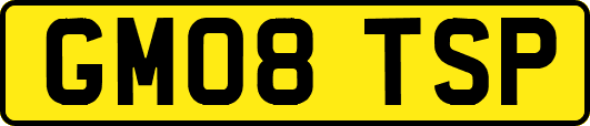 GM08TSP