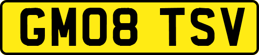 GM08TSV
