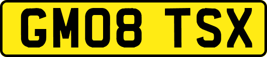 GM08TSX