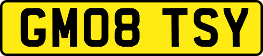 GM08TSY
