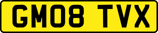 GM08TVX