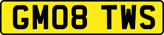 GM08TWS