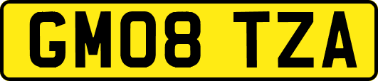 GM08TZA