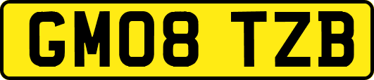 GM08TZB