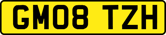 GM08TZH