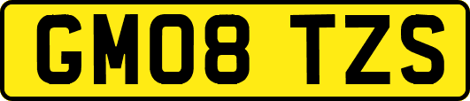GM08TZS