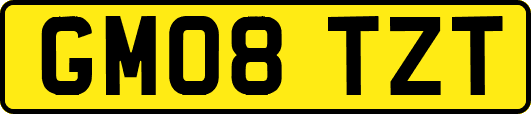 GM08TZT