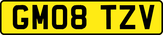 GM08TZV
