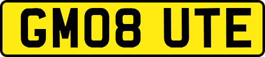 GM08UTE