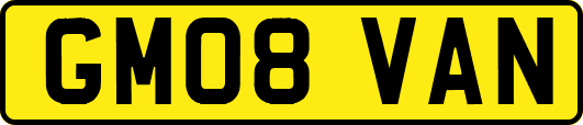 GM08VAN