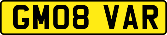 GM08VAR