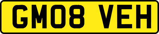 GM08VEH