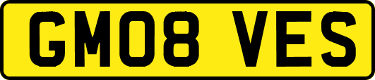 GM08VES