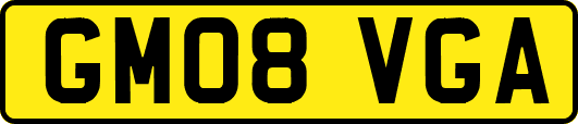 GM08VGA